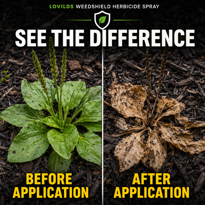 🌿🔥 LOVILDS Fast-Acting Weed Control Spray 💦⚡